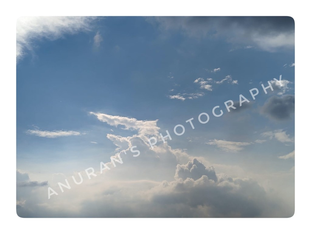 The Great Modern Society