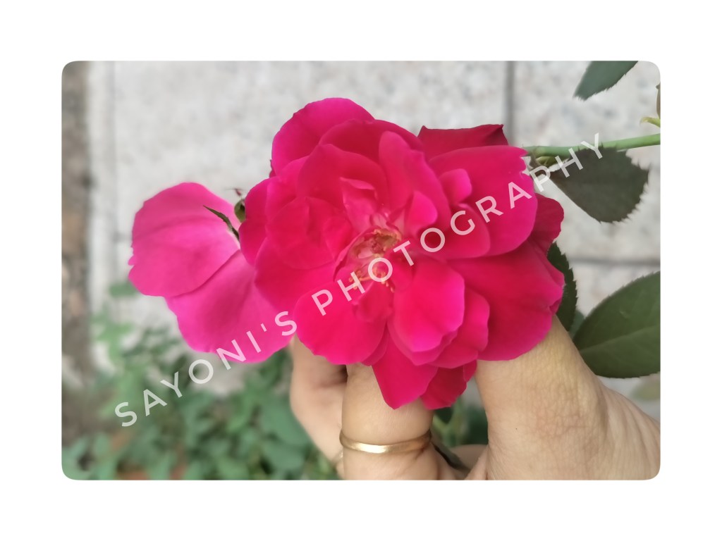 Games: The joyous pace