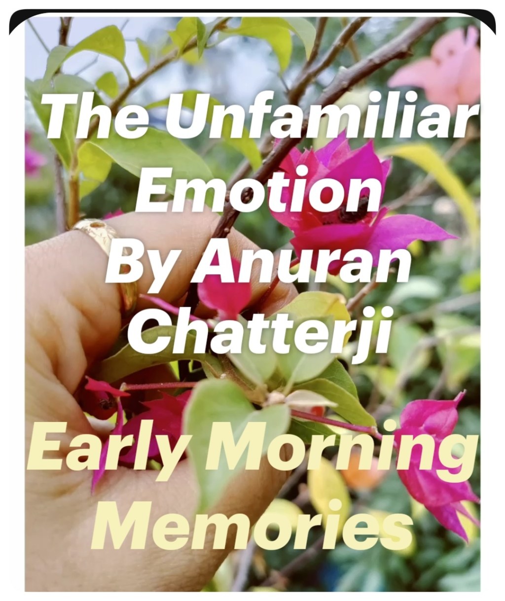 An Unfamiliar Emotion