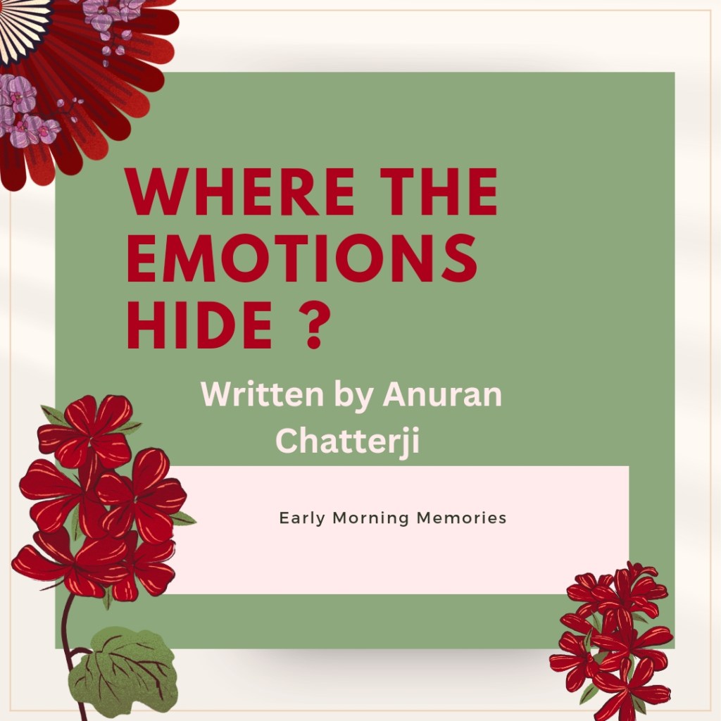 Where the emotions&nbsp;hide