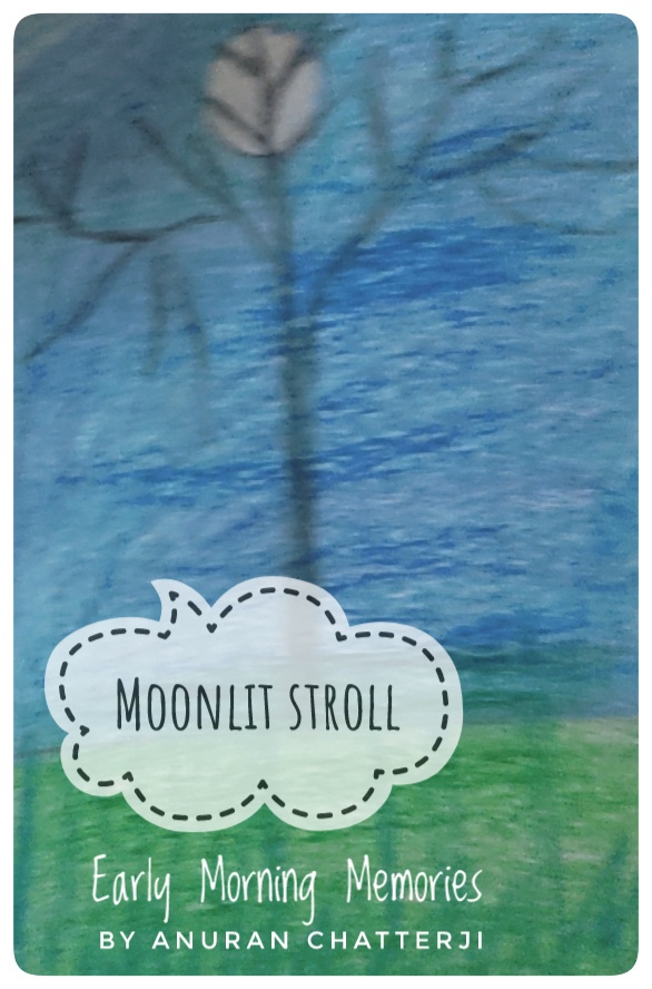 Moonlit Stroll