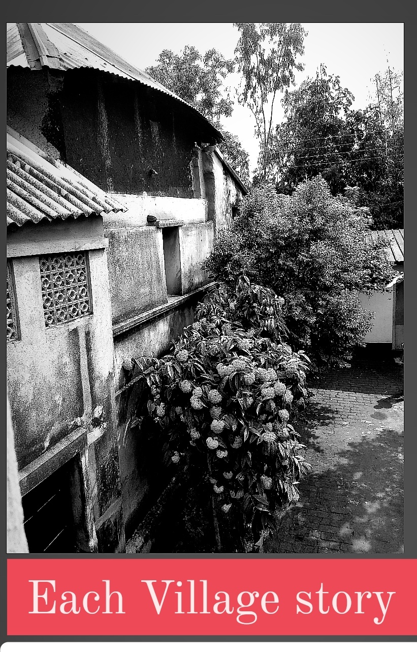 Each Village Story