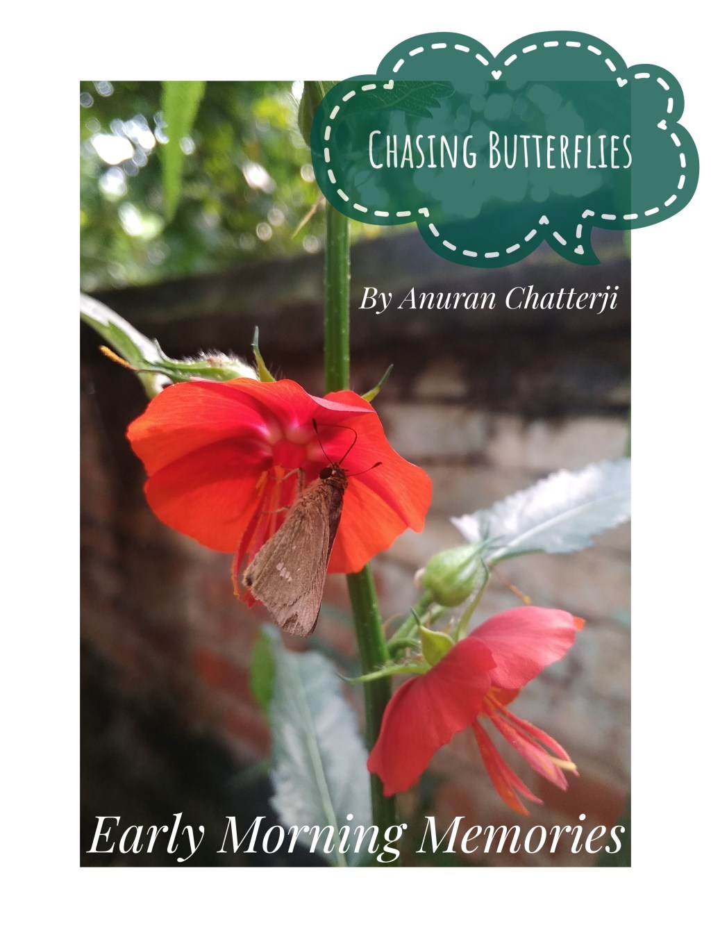 Chasing Butterflies 🦋