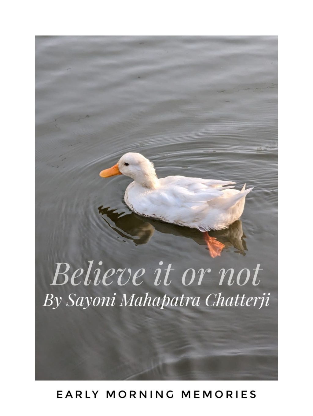 Believe it or&nbsp;not