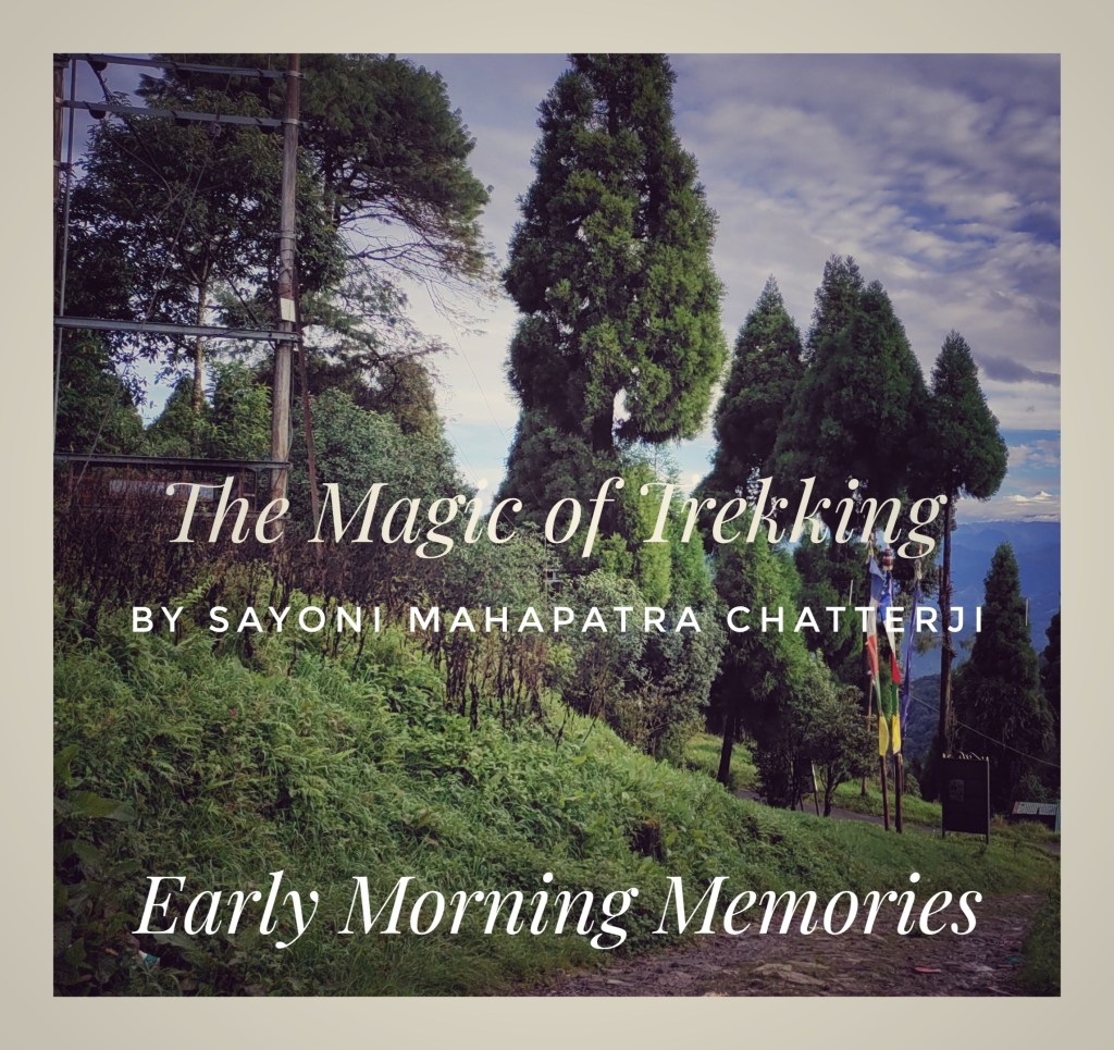 The Magic of&nbsp;Trekking