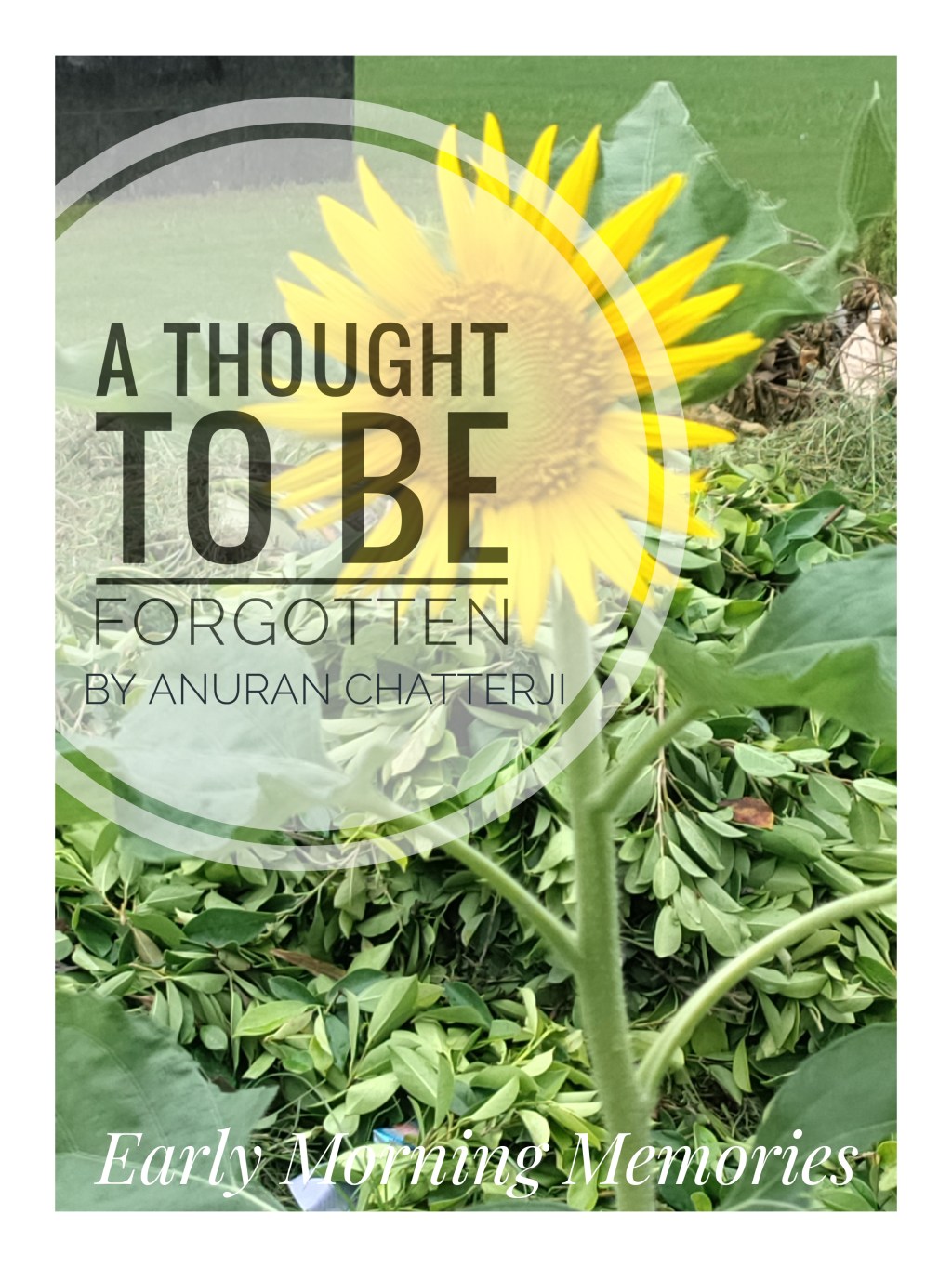 A Thought to be&nbsp;Forgotten