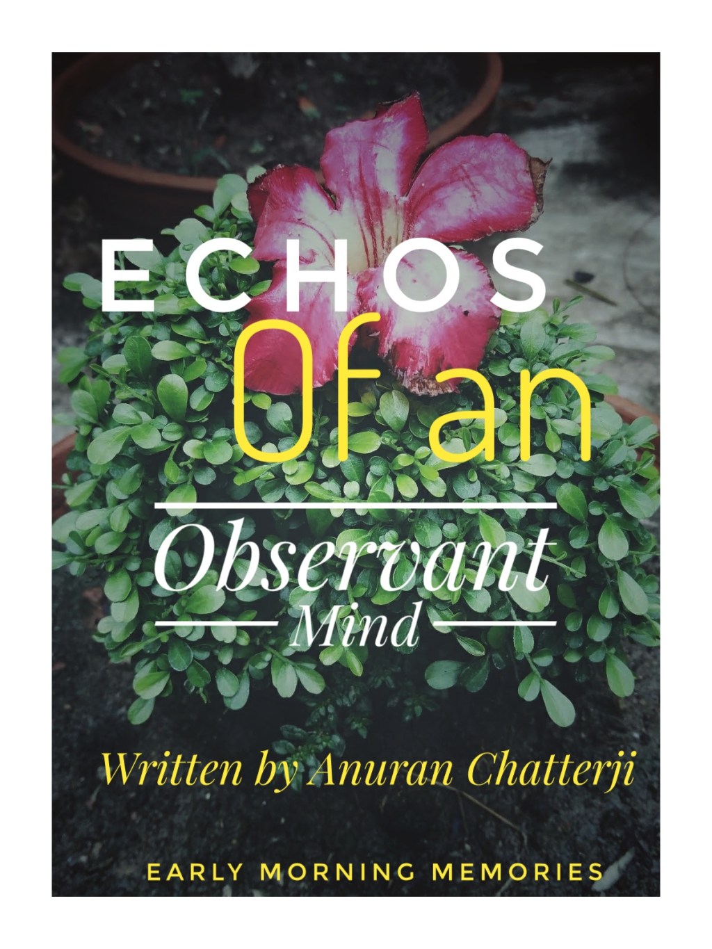 Echoes of an Observant&nbsp;Mind