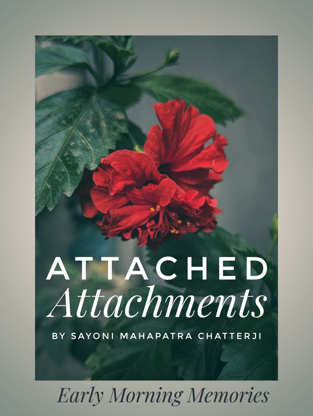 Attached Attachments