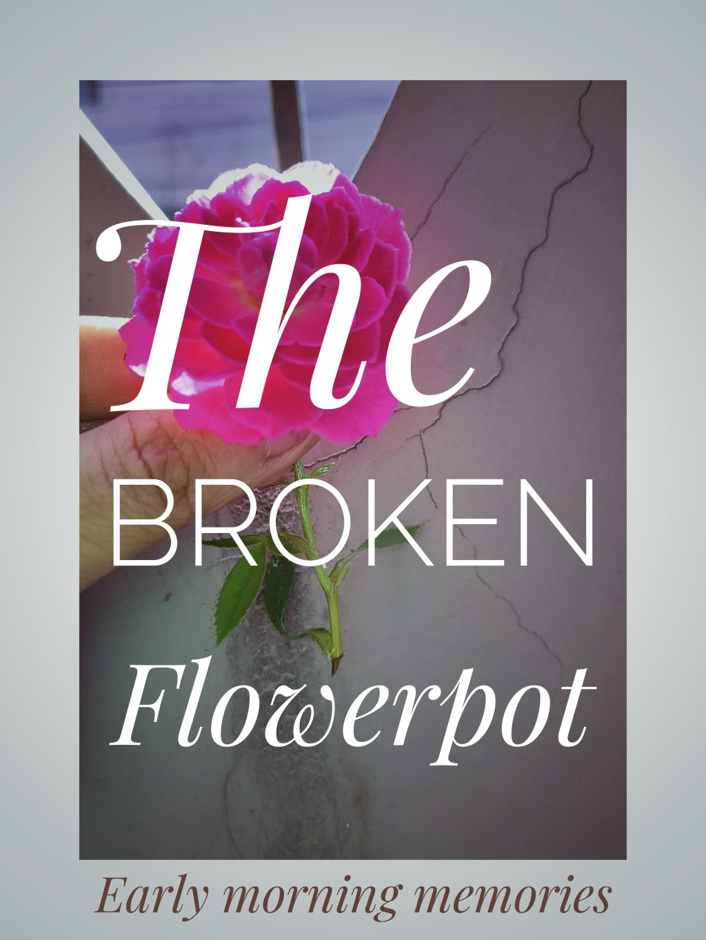 The Broken flowerpot