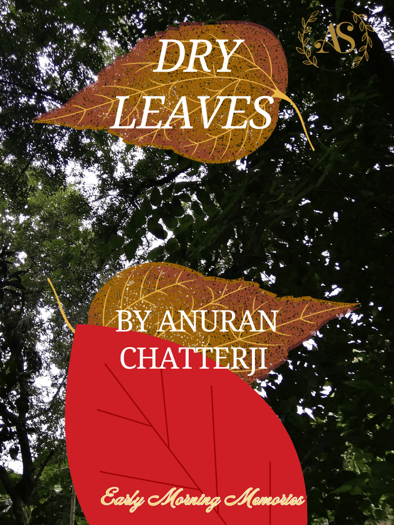 Dry leaves – Early Morning Memories