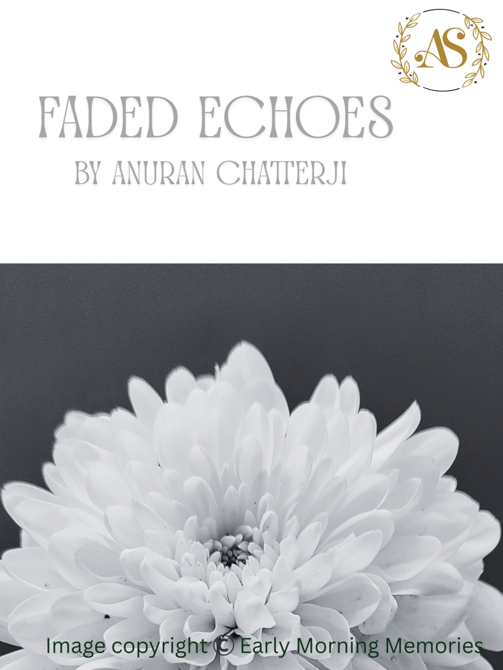 Faded Echoes