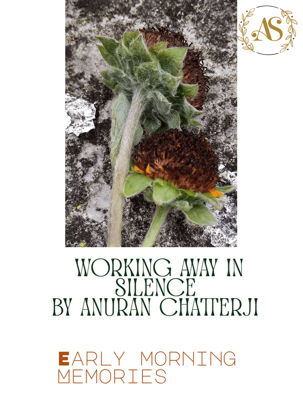 Working Away in&nbsp;Silence