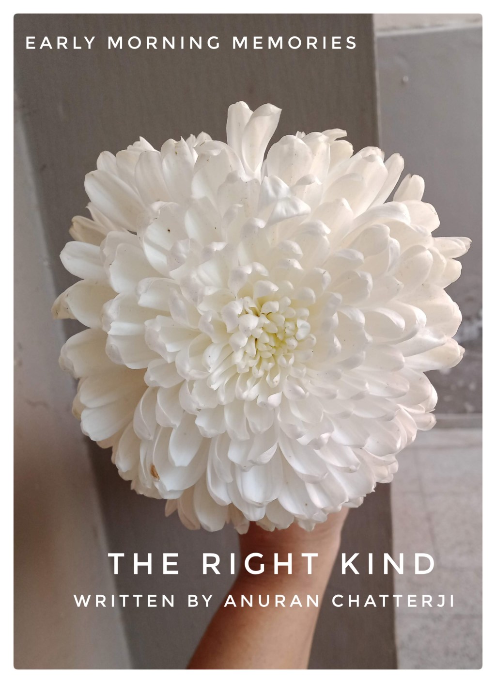 The Right Kind