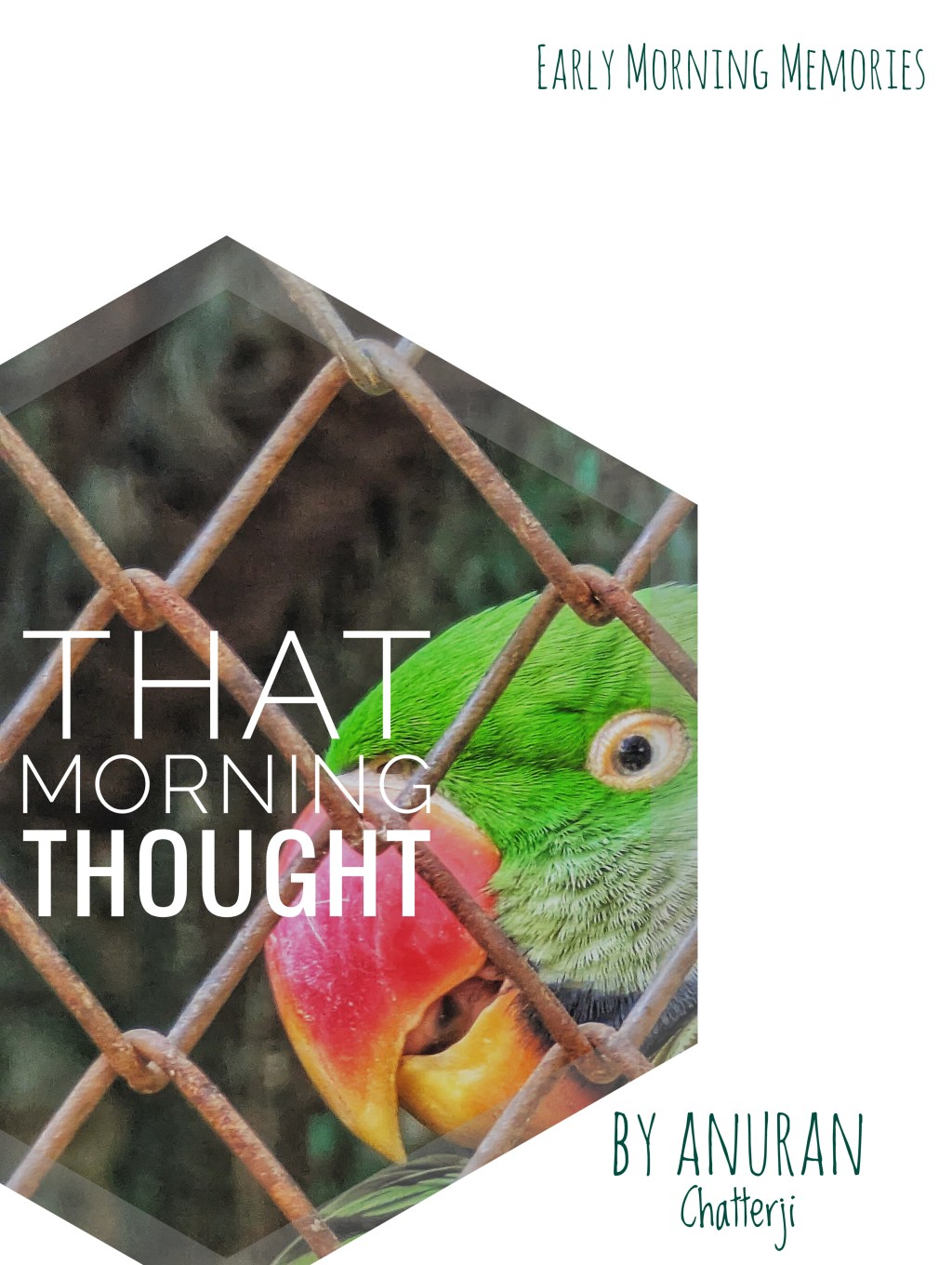 That Morning Thought