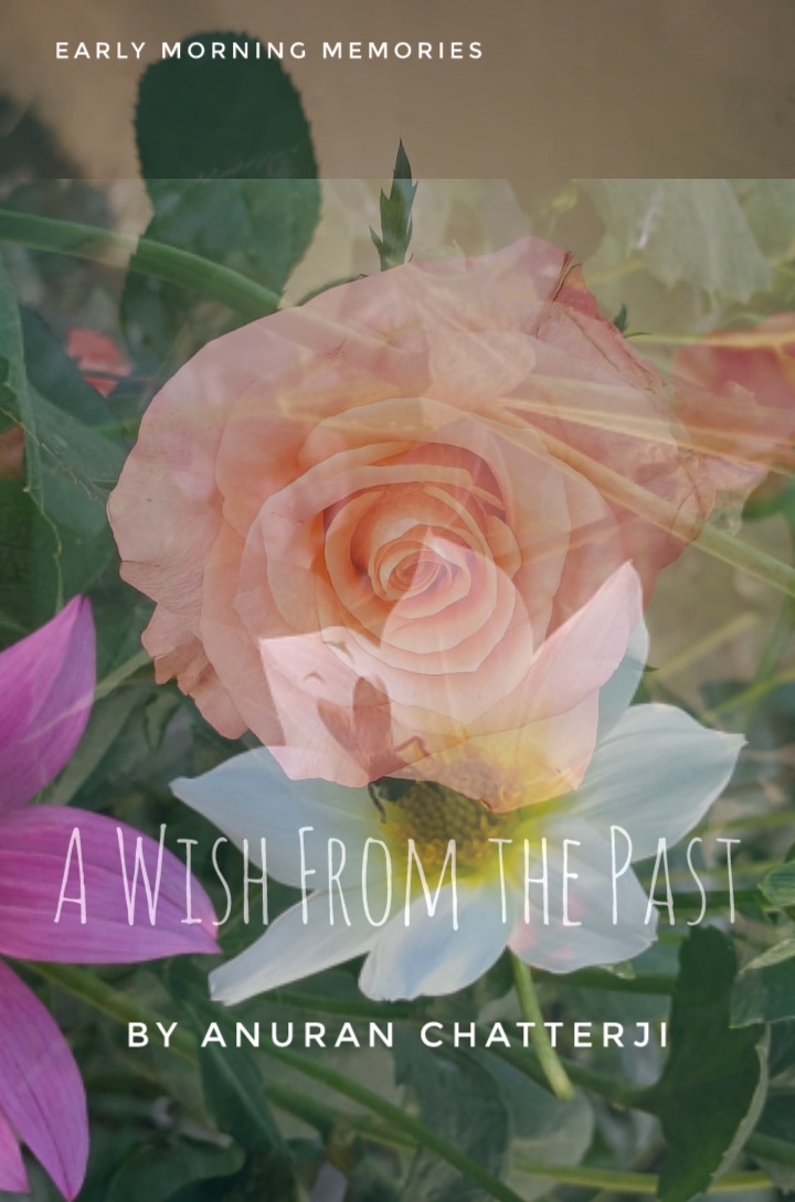 A Wish from the&nbsp;Past