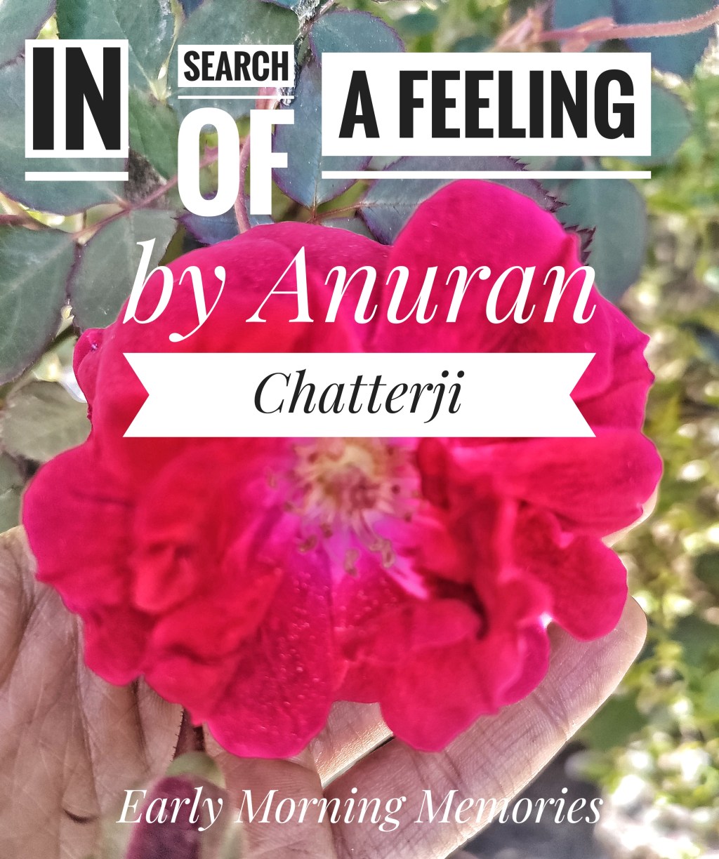 In Search of a&nbsp;feeling