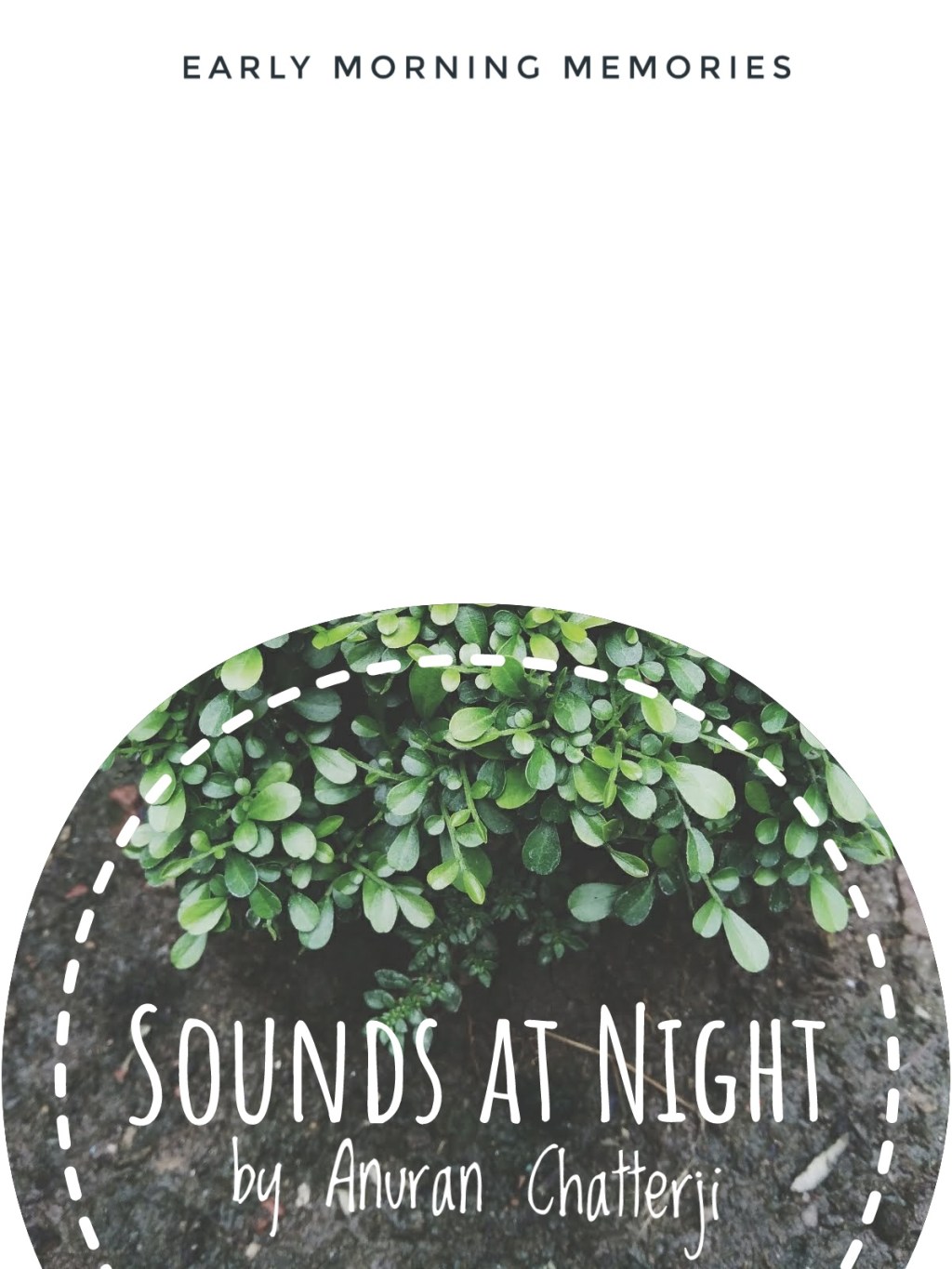 Sounds at night