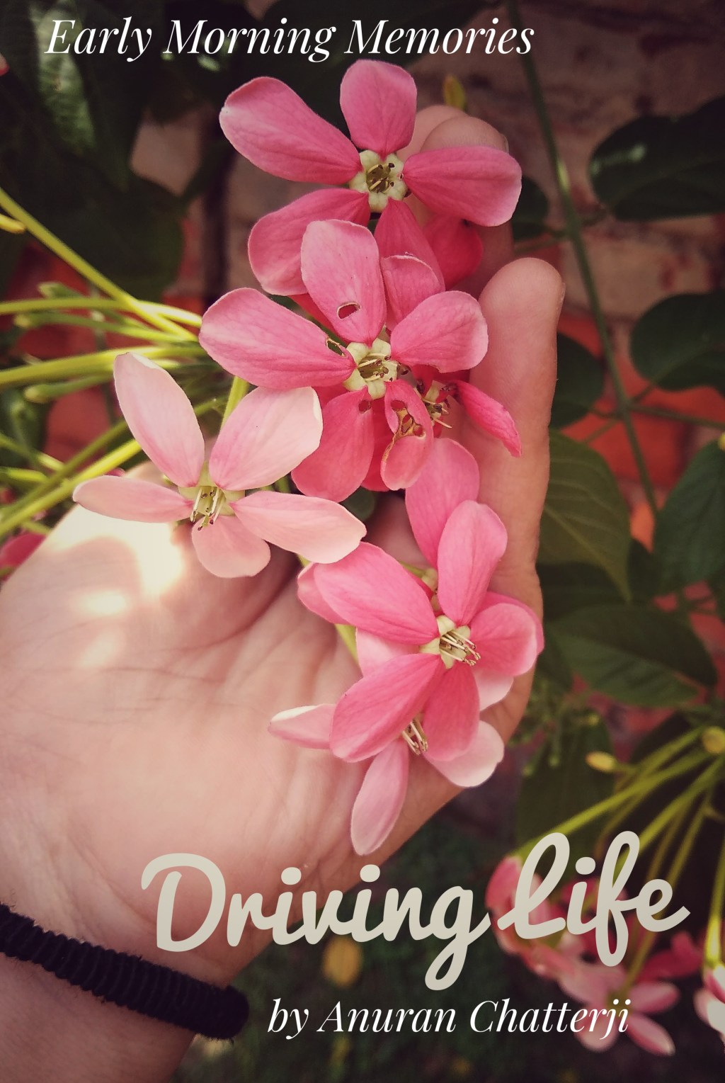 Driving Life