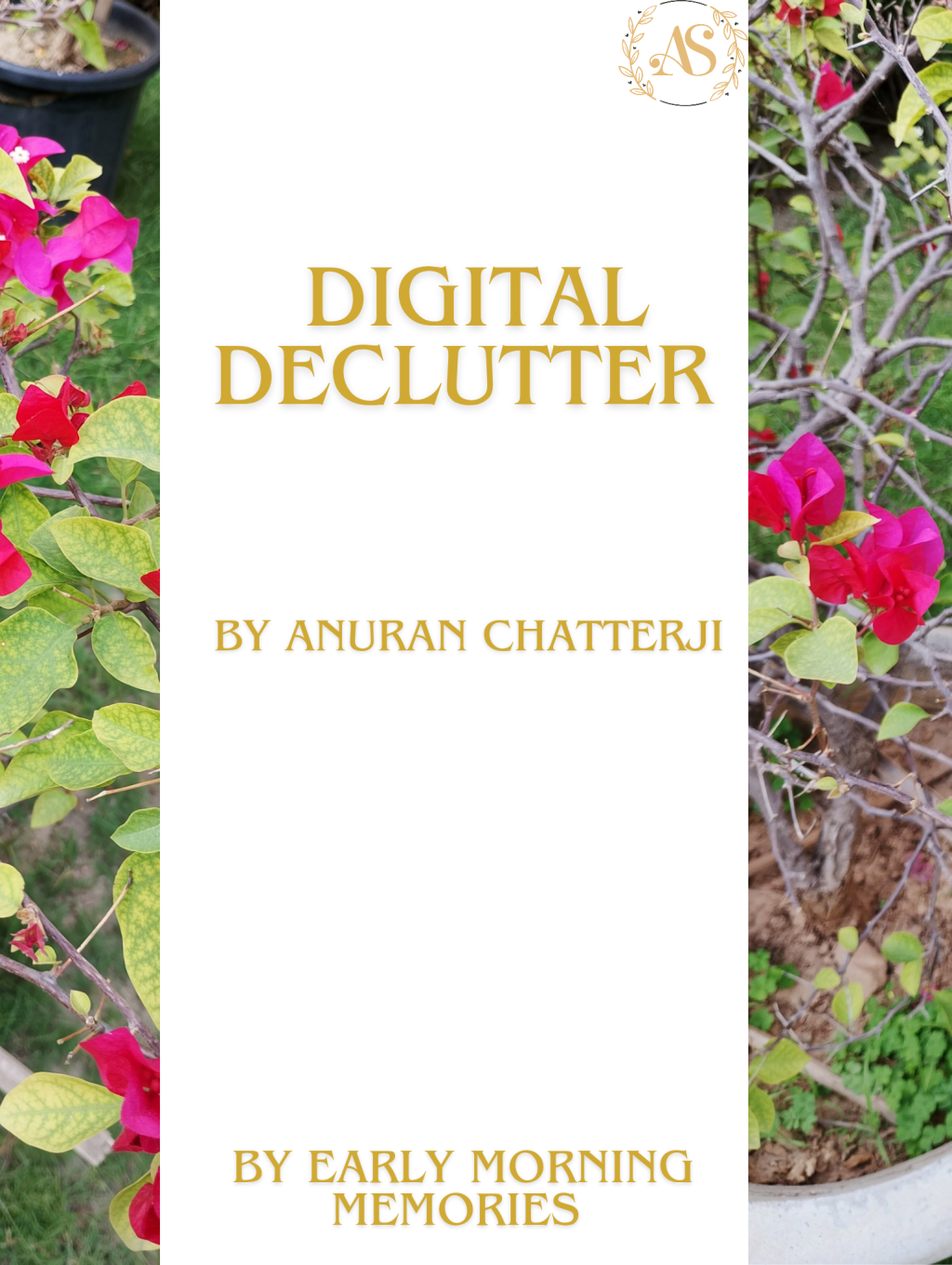 Digital Declutter