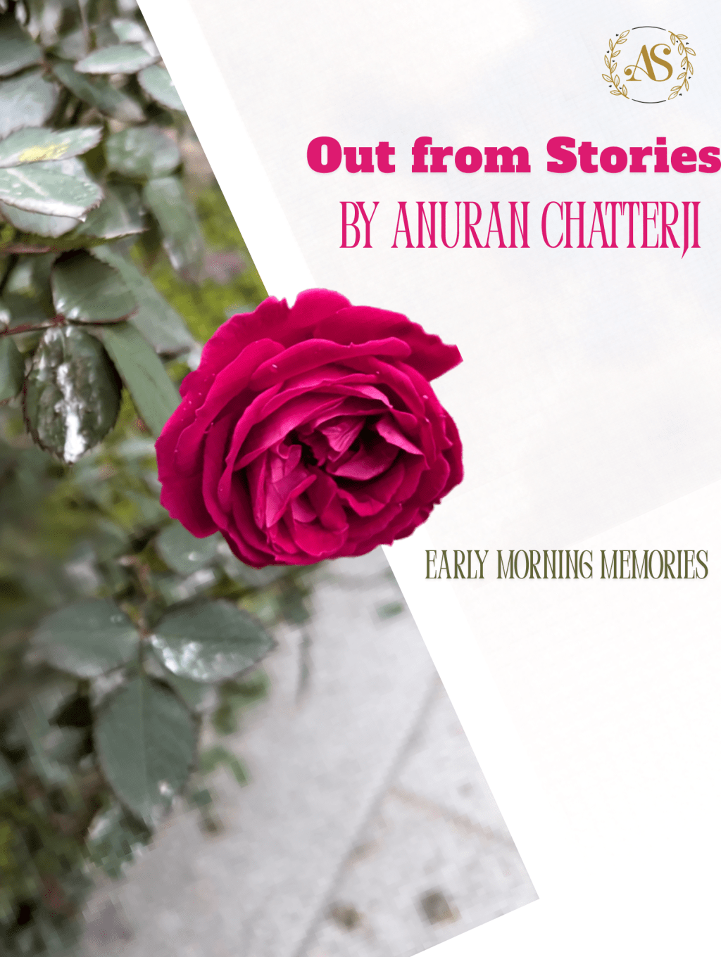 Out From Stories