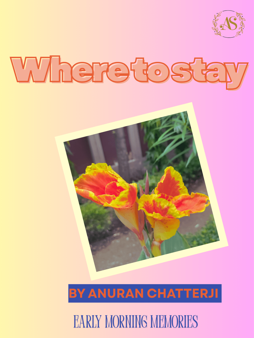 Where to stay