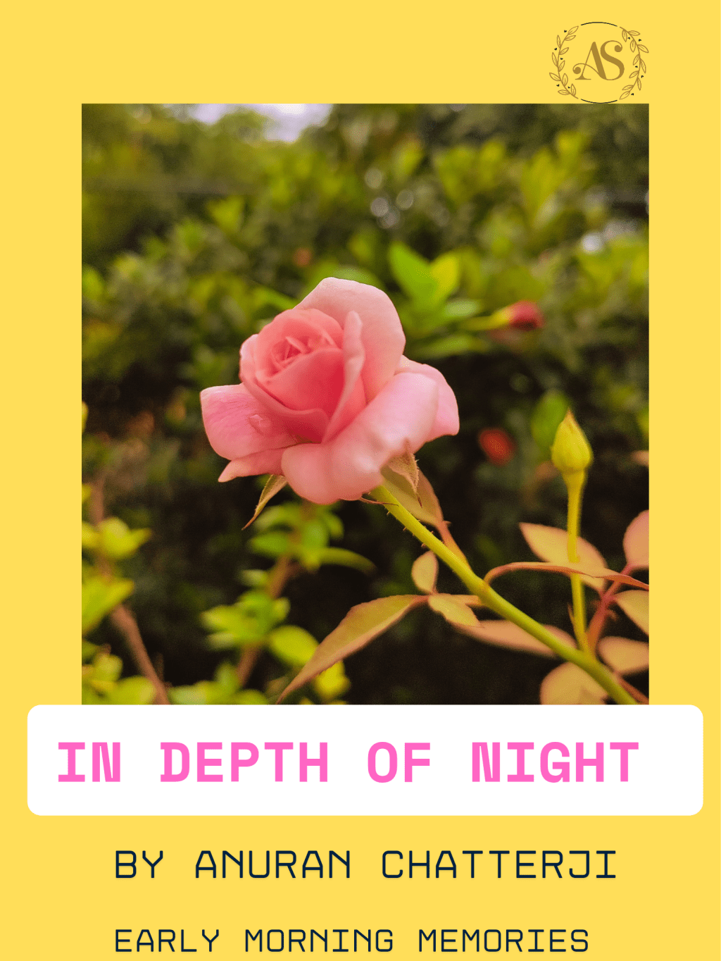 In Depth of&nbsp;Night